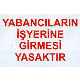 ikaz levhaları 4