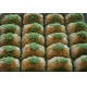 baklava çeşitleri 4