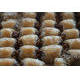 baklava çeşitleri