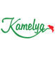 Kamelya Çiçekçilik Peyzaj