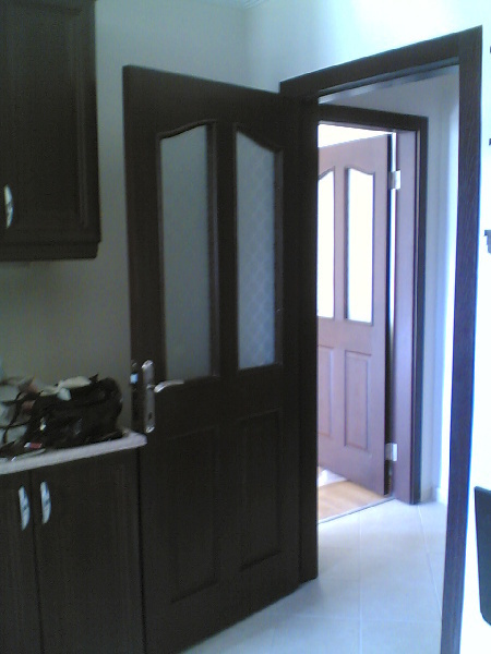 amerikan panel  kapı