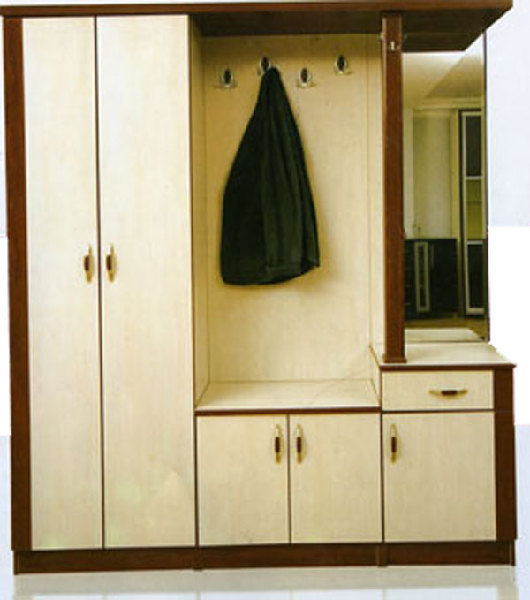 vestiyer 1