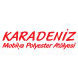 Karadeniz Mobilya Polyester Atölyesi