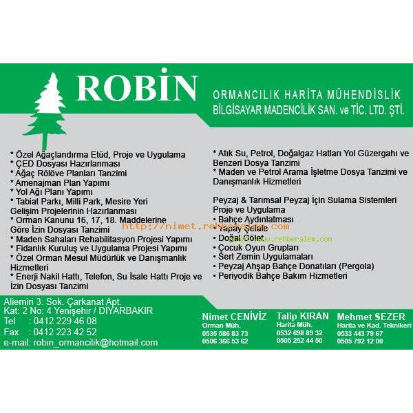 Robin