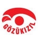 Gözükızıl Şarjör San. Ve Tic. Td. Şti. logo