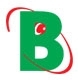 Bayraktar Ticaret logo