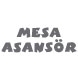 Mesa Asansör logo