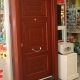 çelik kapı