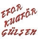 Efor Bayan Kuaförü logo