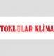 Toklular Klima logo