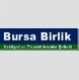 Bursa Birlik Nakliyat Ve Ticaret Anonim Şirketi logo