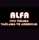 Alfa Oto Yıkama logo