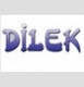 Dilek Makina logo