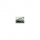 fiat albea