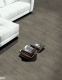 Laminant Parke