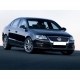 2009 Woswogen Passat
