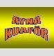 Ayna Kuaför logo