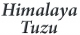 Himalaya Tuzu Ve Himalaya Lambası Satış logo