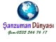 Şanzuman Dünyası logo