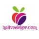 Halı Ve Dekor | Halı Modelleri | Halı Fi logo