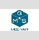 Mgs logo