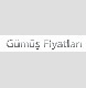 Gümüş Fiyatları Websitesi logo